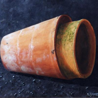 Pots sur la lune (collection)